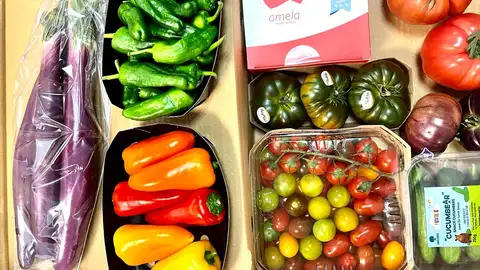 HORTALIZAS HORTALIZAS