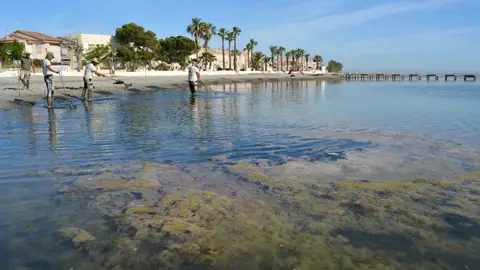 ANSE propone dejar de aportar agua del trasvase al Campo de Cartagena `para empezar a ordenar el Mar Menor