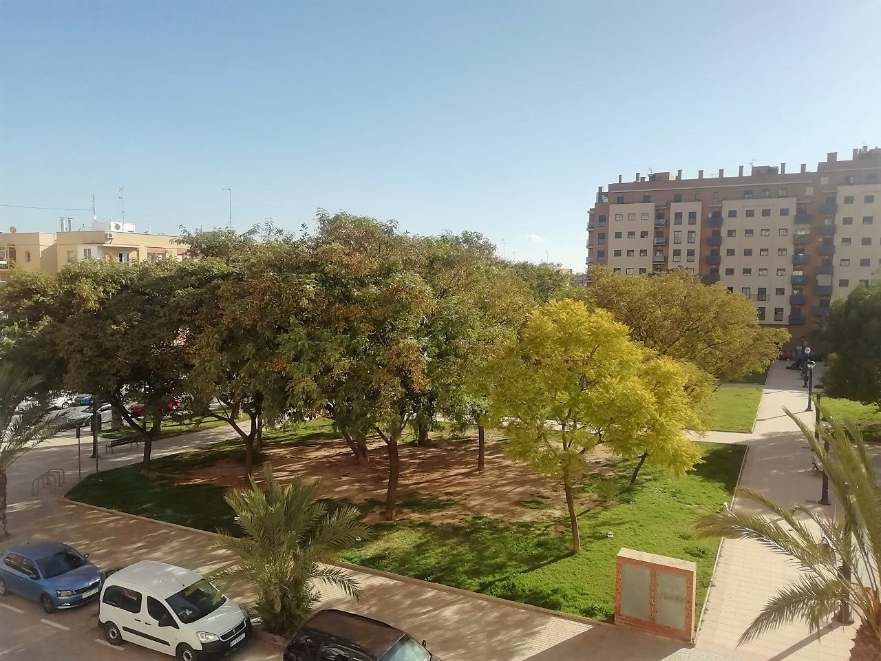 El termómetro asciende ligeramente en Elche, Crevillent y Santa Pola antes de bajar de nuevo este miércoles El termómetro asciende ligeramente en Elche, Crevillent y Santa Pola antes de bajar de nuevo este miércoles