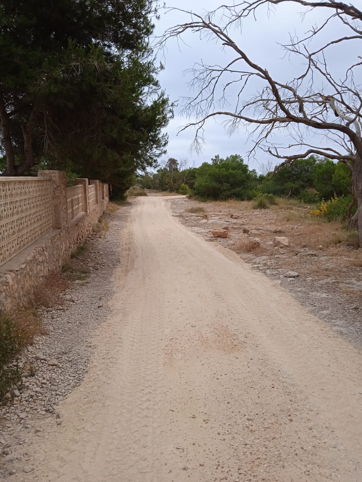 Comienzan las obras de mejora de accesibilidad del mirador del Faro de Santa Pola Comienzan las obras de mejora de accesibilidad del mirador del Faro de Santa Pola