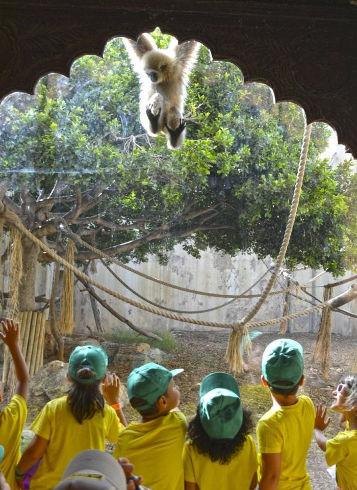 Terra Natura inicia su Escuela de Verano el día 27 de Junio Terra Natura inicia su Escuela de Verano el día 27 de Junio