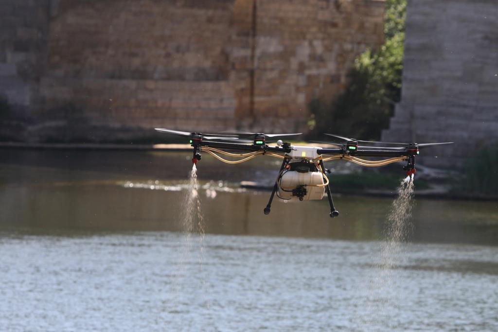 Drones contra la mosca negra Drones contra la mosca negra