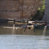 El uso de drones facilita la administración del larvicida en zonas donde abundan las algas