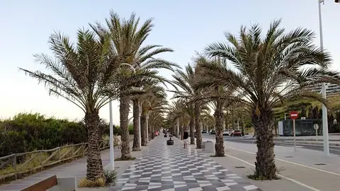 Avenida San Bartolomé de Tirajana de Los Arenales del Sol de Elche.