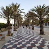 Imagen de archivo de un tramo de la avenida San Bartolomé de Tirajana de Los Arenales del Sol de Elche. Imagen de archivo de un tramo de la avenida San Bartolomé de Tirajana de Los Arenales del Sol de Elche.