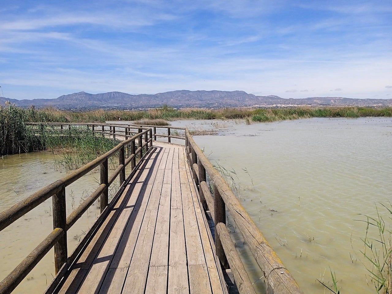 El Hondo de Elche y Crevillent será el primer parque natural accesible para personas con movilidad reducida de la Comunidad Valenciana El Hondo de Elche y Crevillent será el primer parque natural accesible para personas con movilidad reducida de la Comunidad Valenciana