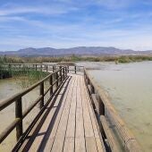 Pasarela en el parque natural de El Hondo Crevillent-Elche.