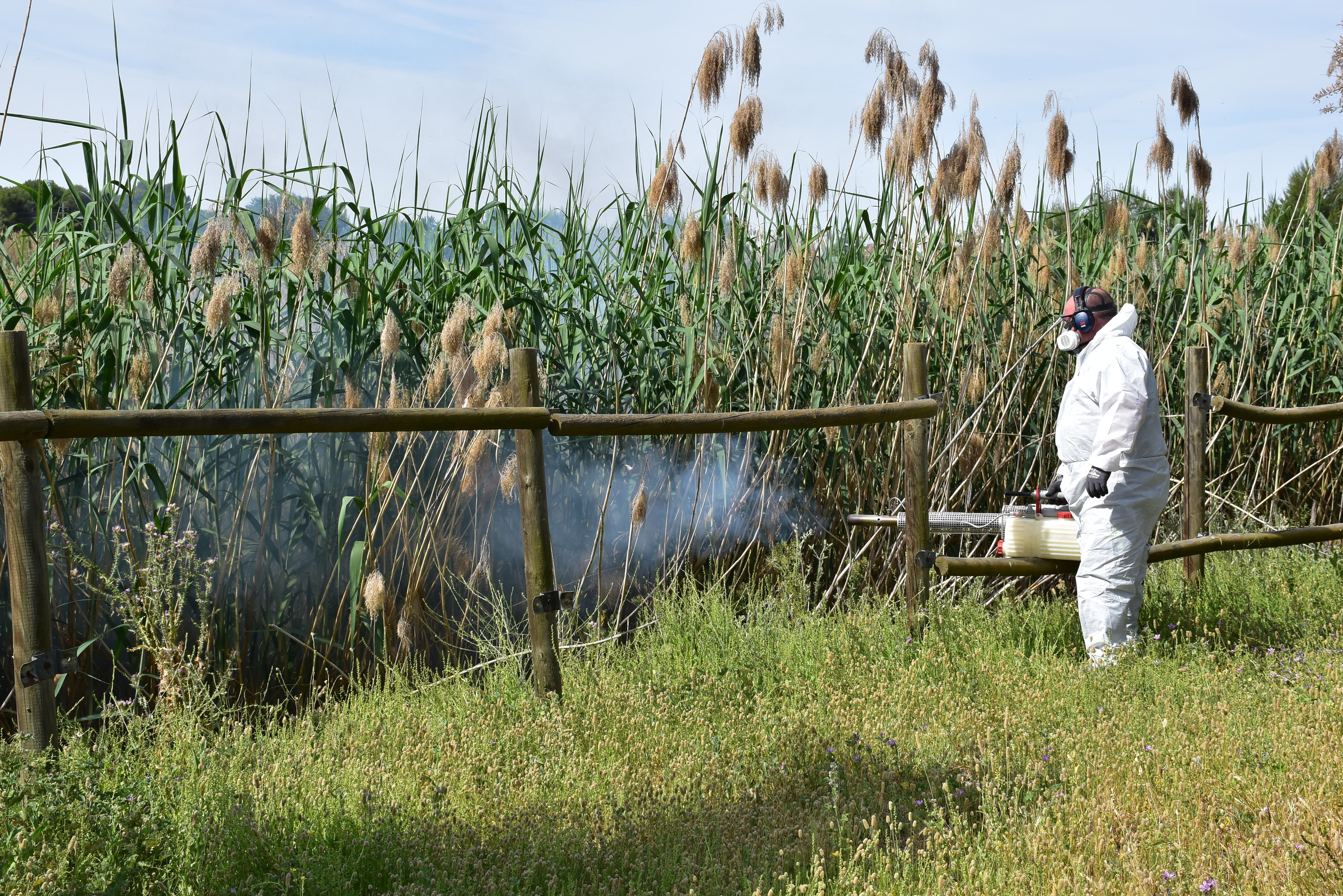 Albacete fumigará cada semana hasta octubre frente a la proliferación de mosquitos Albacete fumigará cada semana hasta octubre frente a la proliferación de mosquitos