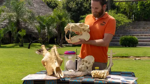 Bioparc Valencia Bioparc Valencia