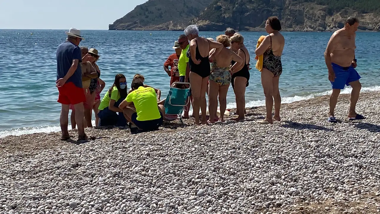 Un jabalí muerde a una mujer en L'Alfàs del Pi y siembra el caos en la playa