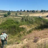 La Guardia Civil continúa con la búsqueda de Roberto García en Casarrubios del Monte (Toledo)