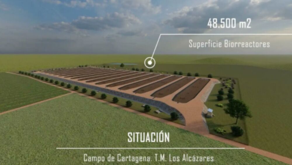 Proyecto biorreactores CARM en Albujón Proyecto biorreactores CARM en Albujón