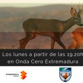 Cartel Caza 06-06-2022