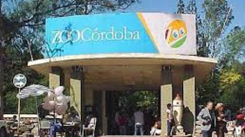 Gripe aviar en el zoo