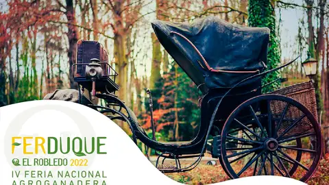 Ferduque 2022 Ferduque 2022