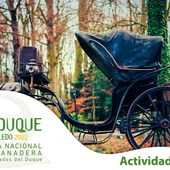 Ferduque 2022 Ferduque 2022