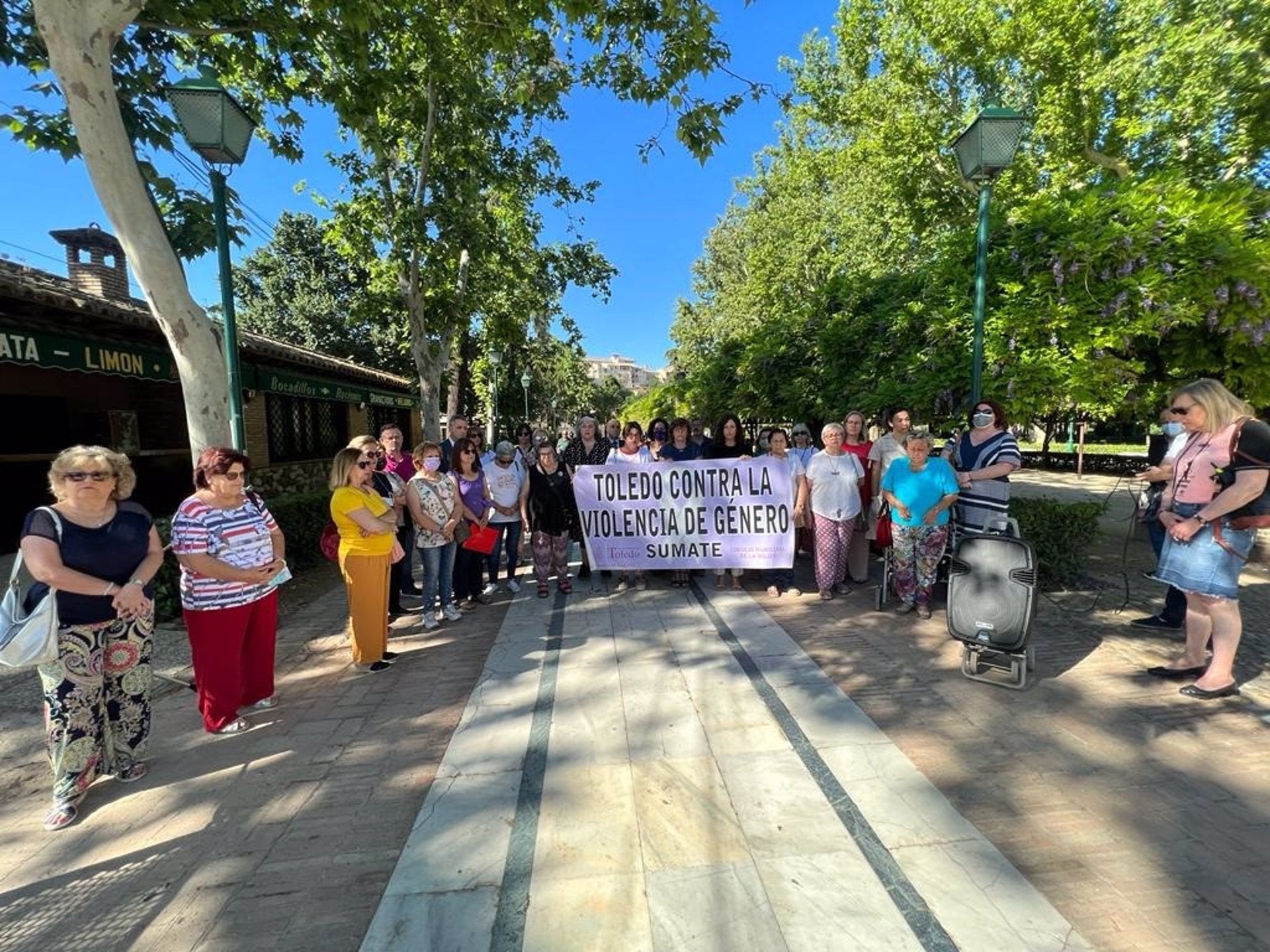 El Consejo Local de la Mujer pide un juzgado específico de violencia de género en Toledo El Consejo Local de la Mujer pide un juzgado específico de violencia de género en Toledo