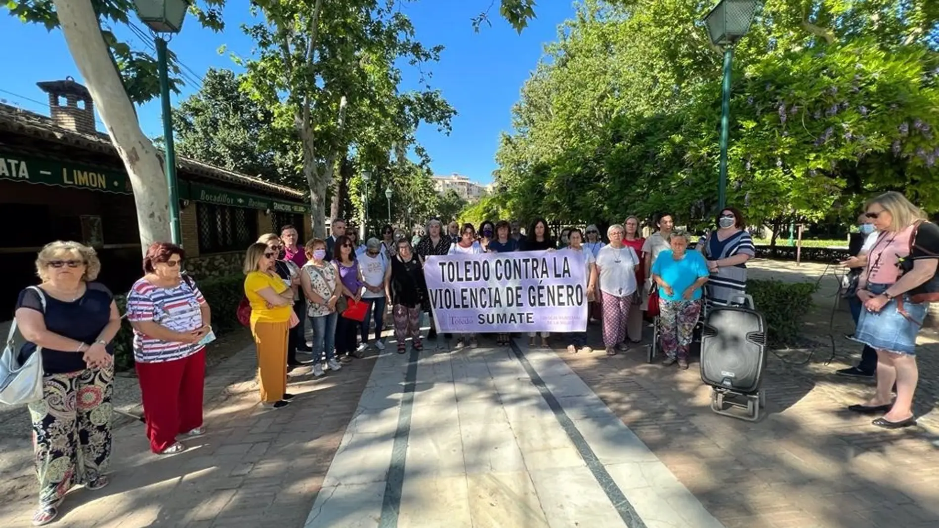 El Consejo Local de la Mujer pide un juzgado específico de violencia de género en Toledo 