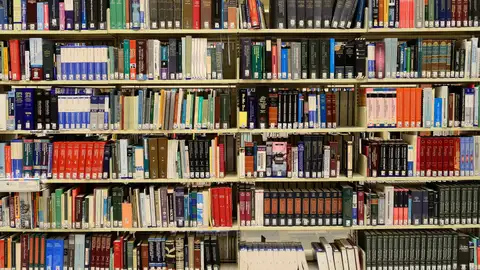 Una imagen de archivo de una estantería llena de libros Una imagen de archivo de una estantería llena de libros/ Pixabay