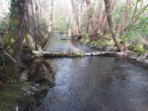 A CHMS inviste máis de 40.000 euros na limpeza do río barbana A CHMS inviste máis de 40.000 euros na limpeza do río barbana
