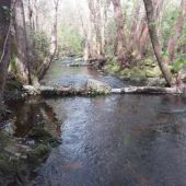 A CHMS inviste máis de 40.000 euros na limpeza do río barbana