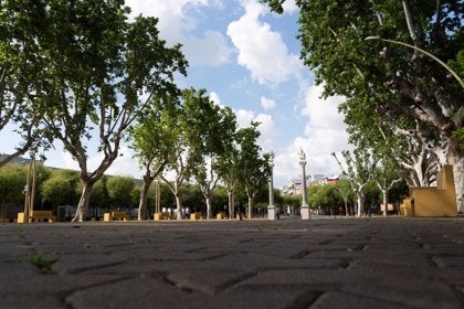Parques y Jardines inicia el plan de refuerzo del riego del arbolado, que se mantendrá hasta final de octubre Parques y Jardines inicia el plan de refuerzo del riego del arbolado, que se mantendrá hasta final de octubre