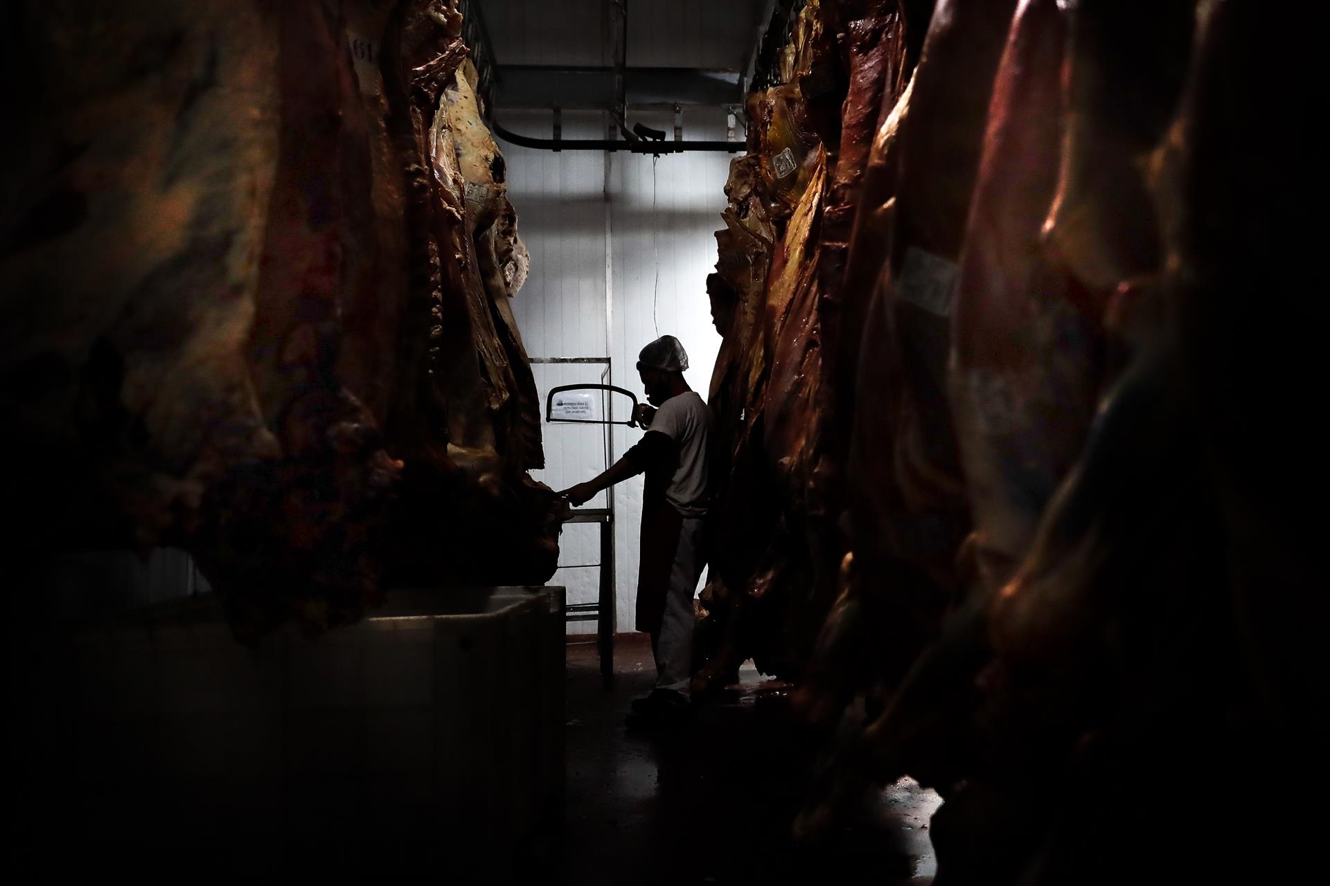 Clausuran un matadero ilegal que vendía carne a restaurantes asiáticos sin pasar los controles sanitarios Clausuran un matadero ilegal que vendía carne a restaurantes asiáticos sin pasar los controles sanitarios