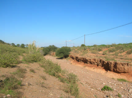 El MITECO encarga las obras de restauración de cuatro ramblas de la Sierra Minera de Cartagena El MITECO encarga las obras de restauración de cuatro ramblas de la Sierra Minera de Cartagena