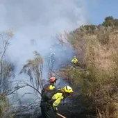 Personal del Infocam en la extinción de un incendio Personal del Infocam en la extinción de un incendio