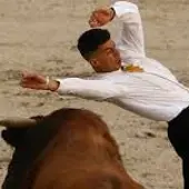 Concurso de Recortadores. Concurso de Recortadores.