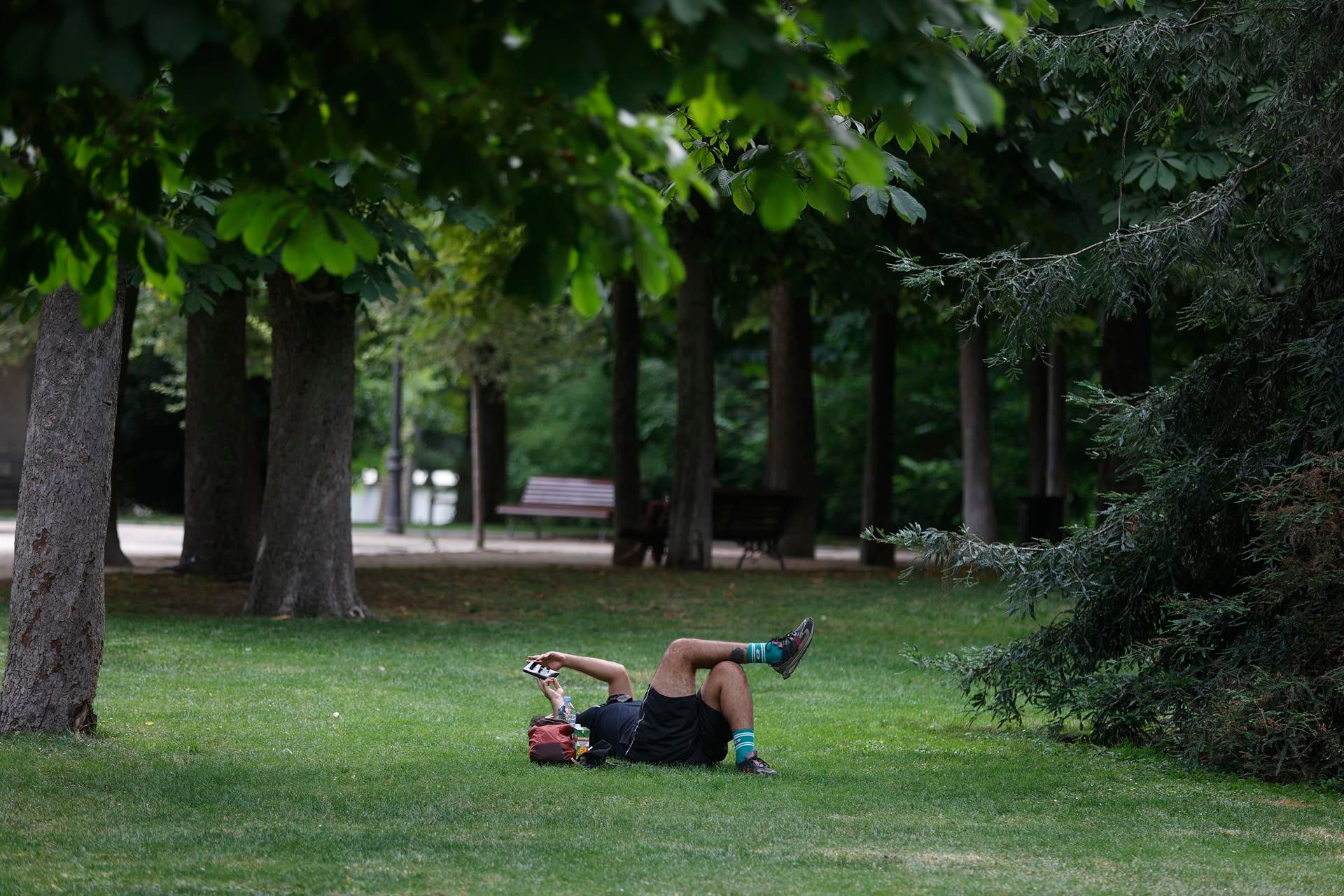 ¿Por qué cierran algunos parques de Madrid durante la ola de calor? ¿Por qué cierran algunos parques de Madrid durante la ola de calor?