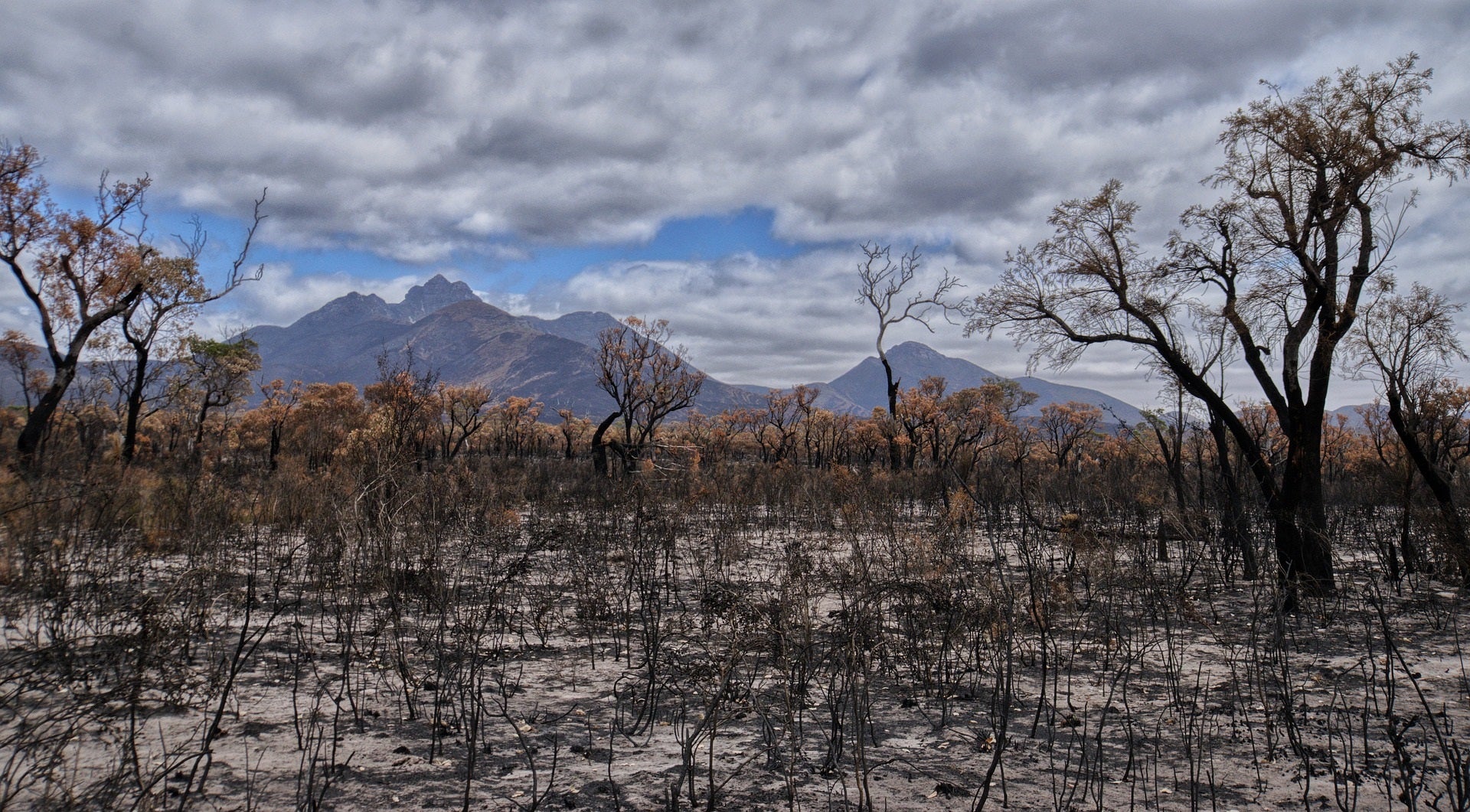 Alerta roja por incendios y calor durante el fin de semana Alerta roja por incendios y calor durante el fin de semana