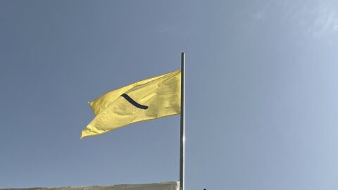 Banderas inclusivas para dalt&oacute;nicos: As&iacute; son los c&oacute;digos para saber si se pueden ba&ntilde;ar en la playa 