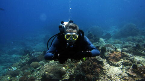 Odisea Diving cuenta con 10 a&ntilde;os de experiencia en la venta de material de buceo, adem&aacute;s de 20 a&ntilde;os de experiencia impartiendo clases de buceo