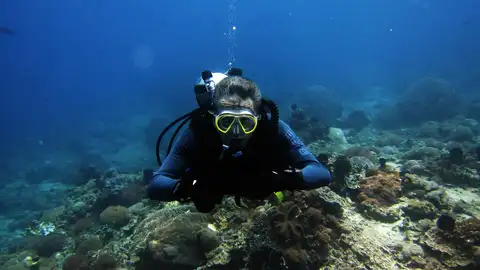Odisea Diving cuenta con 10 años de experiencia en la venta de material de buceo, además de 20 años de experiencia impartiendo clases de buceo Odisea Diving cuenta con 10 años de experiencia en la venta de material de buceo, además de 20 años de experiencia impartiendo clases de buceo