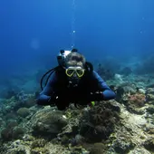Odisea Diving cuenta con 10 años de experiencia en la venta de material de buceo, además de 20 años de experiencia impartiendo clases de buceo Odisea Diving cuenta con 10 años de experiencia en la venta de material de buceo, además de 20 años de experiencia impartiendo clases de buceo