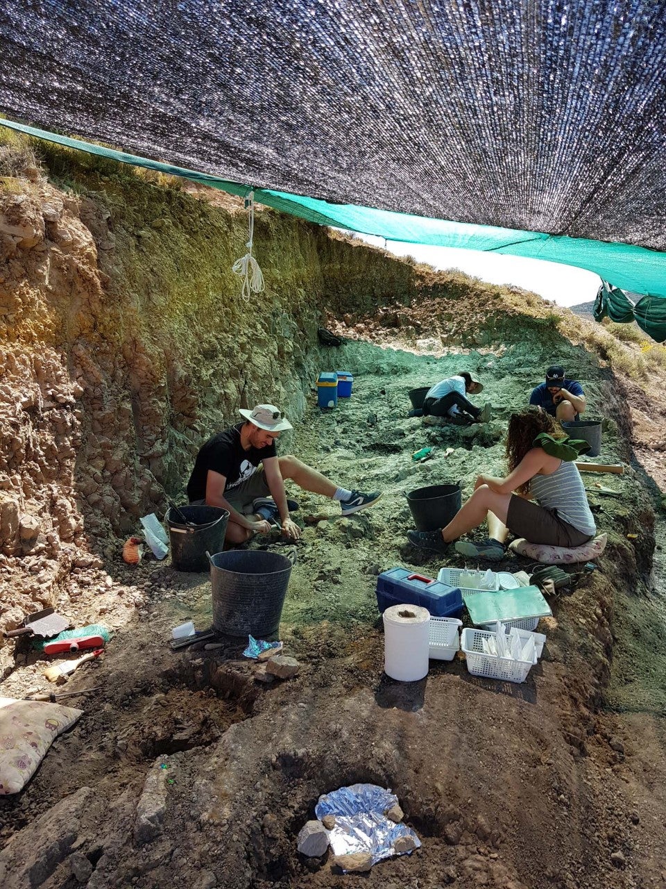 Buscan fósiles de félidos "dientes de sable" en Teruel Buscan fósiles de félidos "dientes de sable" en Teruel