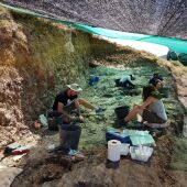 Excavación en el yacimiento Puente Minero de Teruel