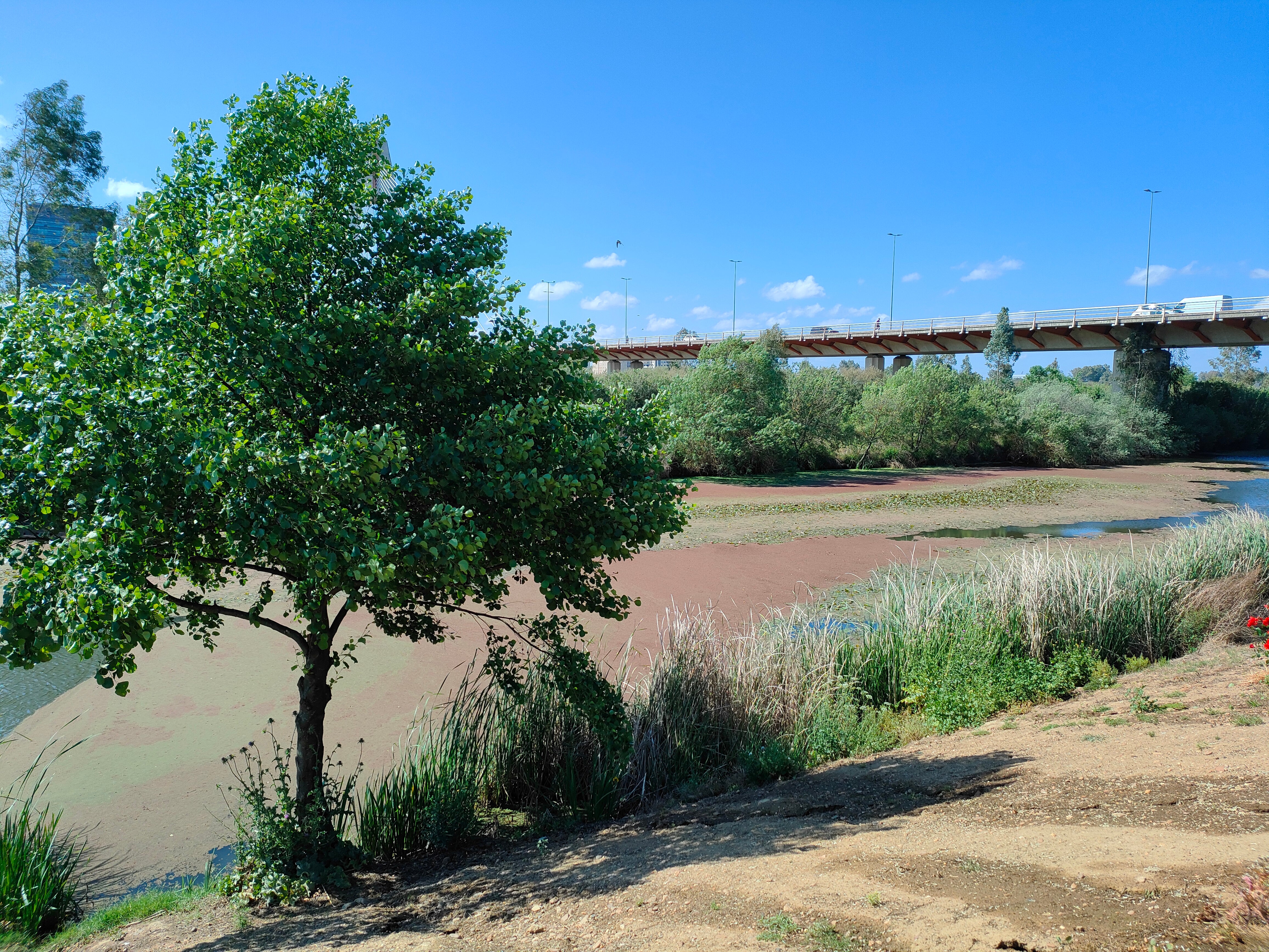 Informativo Más de Uno Badajoz 8,20 horas Informativo Más de Uno Badajoz 8,20 horas