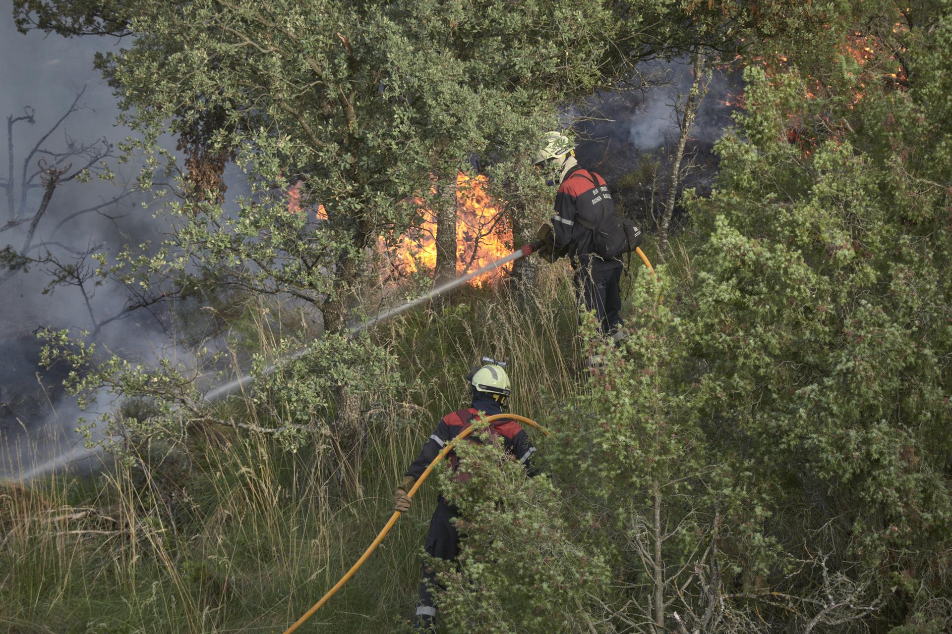 La situación "más crítica" por los incendios está en Gallipienzo pero el escenario general en Navarra ha mejorado La situación "más crítica" por los incendios está en Gallipienzo pero el escenario general en Navarra ha mejorado