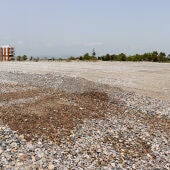 La Demarcación de Costas interviene en las playas norte de Sagunto