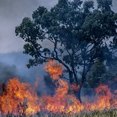 Los incendios se centran ahora en las provincias de Teruel y Zaragoza Los incendios se centran ahora en las provincias de Teruel y Zaragoza