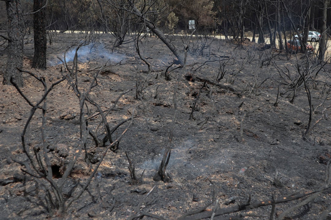 Cuando España ardió: cinco grandes incendios que azotaron nuestro país Cuando España ardió: cinco grandes incendios que azotaron nuestro país