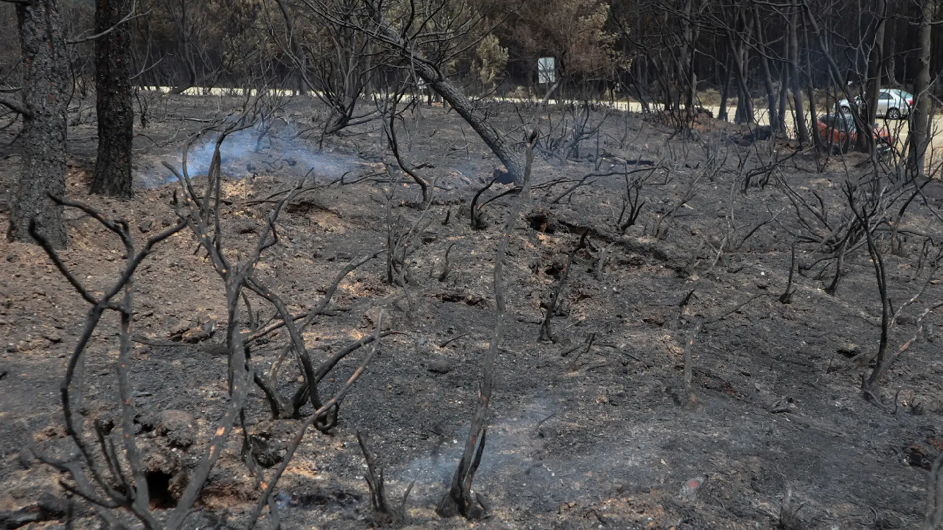 Vista de la zona afectada por el incendio forestal declarado en la Sierra de la Culebra, en la provincia de Zamora, que ha calcinado 30.800 hectáreas