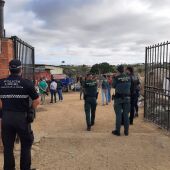 Dos detenidos en Sanlúcar por maltrato y abandono a cabras y caballos causando situaciones de riesgo