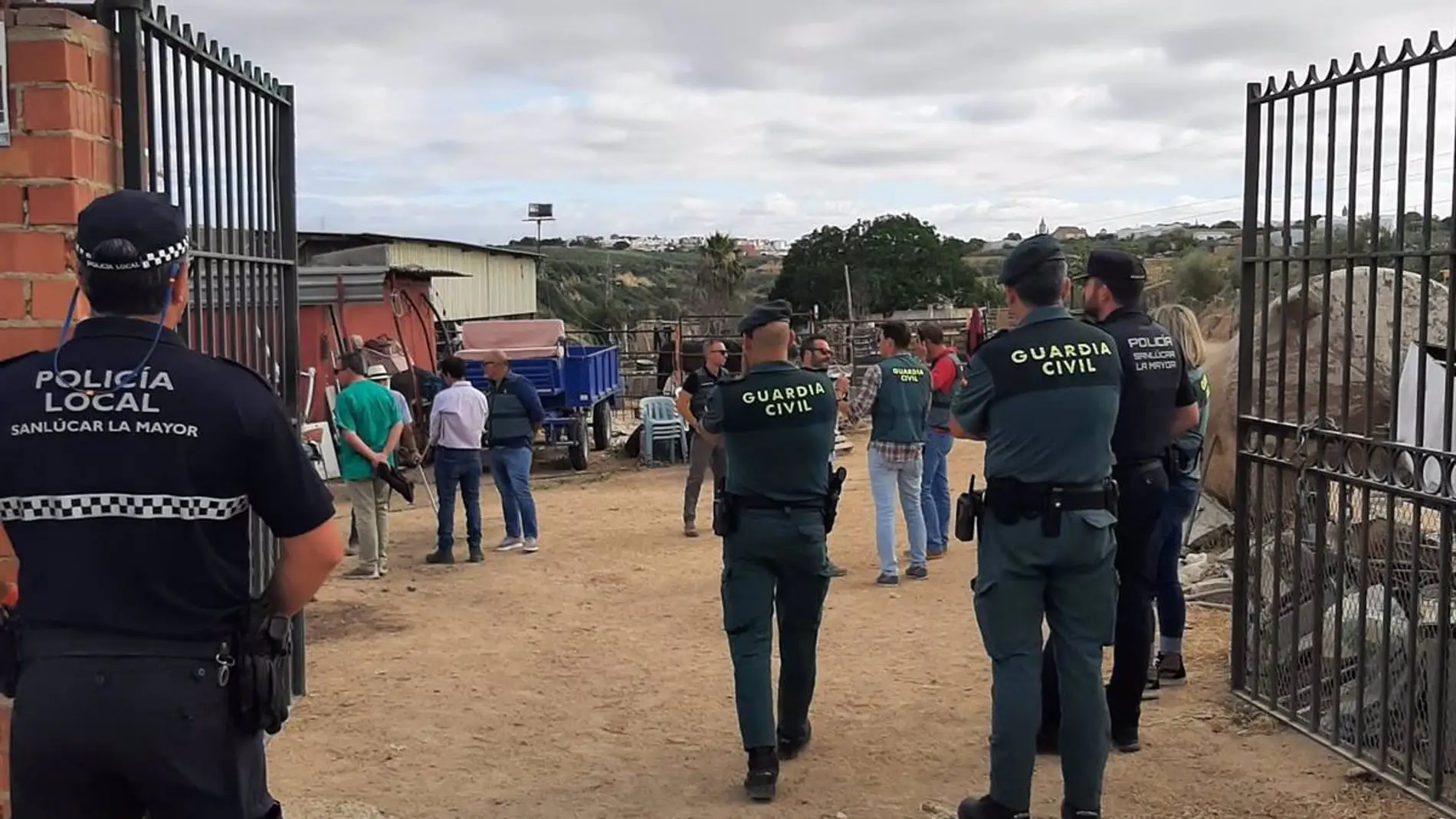 Dos detenidos en Sanlúcar por maltrato y abandono a cabras y caballos causando situaciones de riesgo