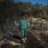 Una persona y su perro caminan por la superficie calcinada en el incendio forestal de la reserva de la Sierra de la Culebra, Zamora