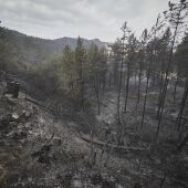 Navarra rebaja el nivel de alerta ante la evolución positiva de la lucha contra los incendios 