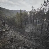 Navarra rebaja el nivel de alerta ante la evolución positiva de la lucha contra los incendios Navarra rebaja el nivel de alerta ante la evolución positiva de la lucha contra los incendios