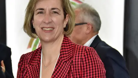 MARI CARMEN ALVAREZ TORO MARI CARMEN ALVAREZ TORO